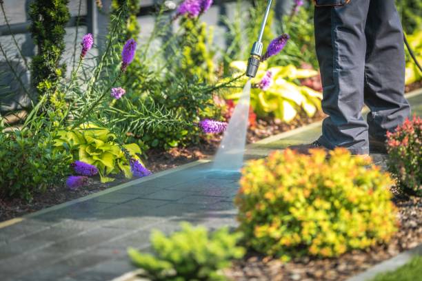 Best Dumpster Area Cleaning  in Galena, IN
