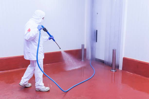 Best House Exterior Washing  in Galena, IN