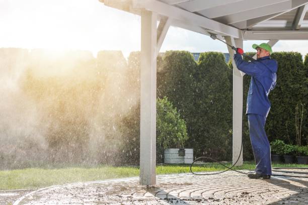 Best Roof Washing  in Galena, IN