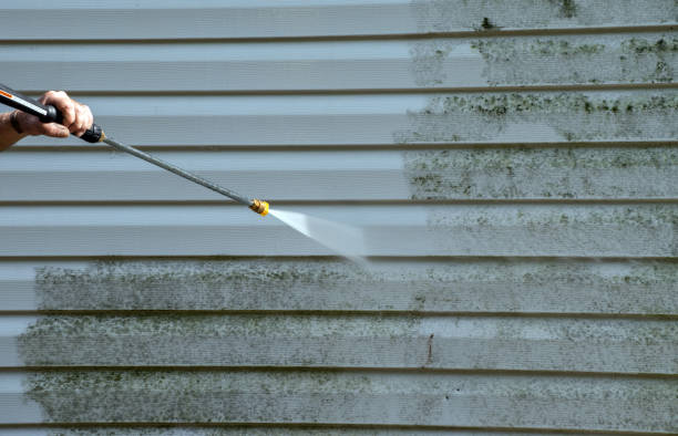 Best Fence Cleaning  in Galena, IN